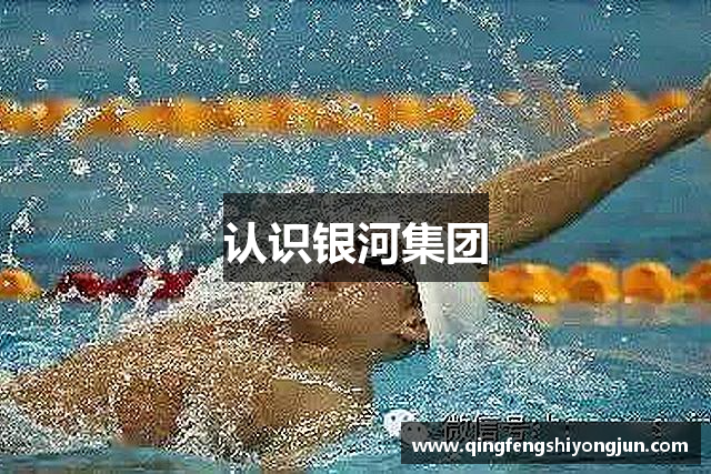 认识银河集团